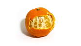 Time lapse clip - Rotting Tangerine (Mandarin Orange)