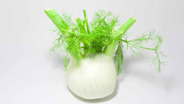 Fennel