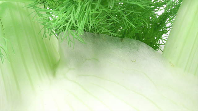 Fennel Macro