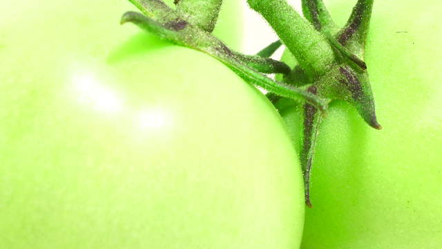 Tomatoes Rotated Macro