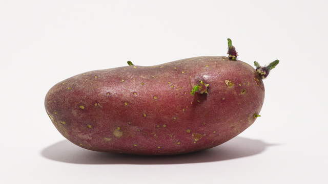 Red Potato