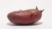 Time lapse clip - Red Potato