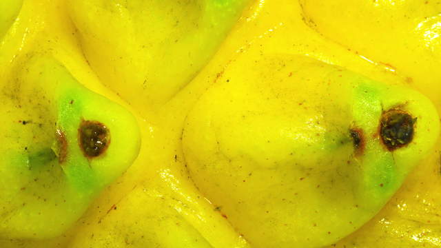 Yellow Dragonfruit Macro